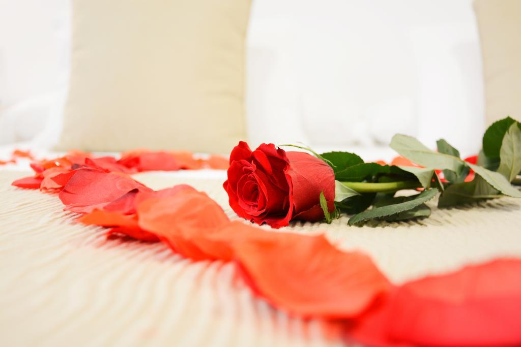La Pasajera Hostal Boutique Коніль-де-ла-Фронтера Екстер'єр фото